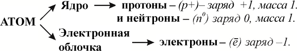 Ядро (латинское «nucleus» — «ядро»). – нуклид.