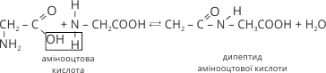 взаємодія молекул амінокислот між собою