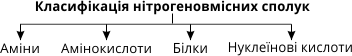 Класифікація нітрогеновмісних сполук