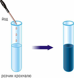 Дія йоду на крохмаль