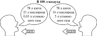 Состав вдыхаемого и выдыхаемого воздуха.