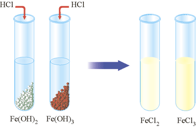 Взаємодія ферум(ІІІ) гідрокиду та ферум(ІІ) гідрокиду з розчином кислоти