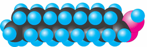 Модель молекули пальмітинової кислоти