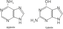 Пуринові основи: аденін, гуанін